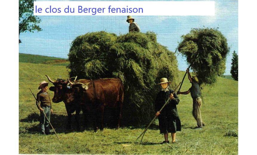 Le Clos Du Berger Le Sauze Eksteriør billede